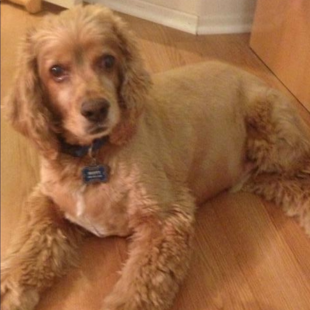 Meet your Posher, Mararusty